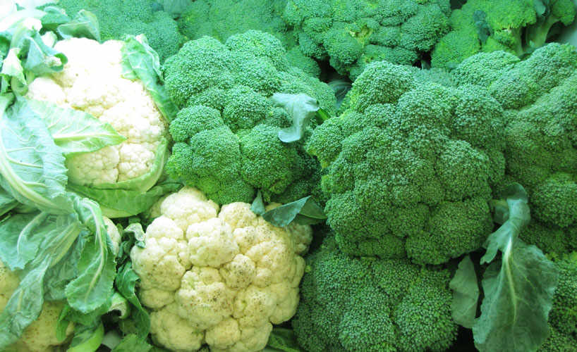 Cauliflowers and broccoli.